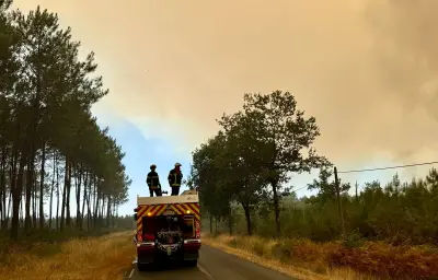 Incendie en Gironde : le feu progresse vers Lège-Cap-Ferret, 8 800 nouvelles évacuations