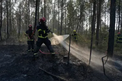 Incendie en Gironde stabilisé, reprise de feu maîtrisée à Fontainebleau