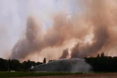 Incendie à Fontainebleau : 1900 hectares brûlés, deux suspects arrêtés