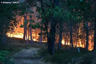 Incendie à Fontainebleau : 500 pompiers mobilisés, piste criminelle suspectée