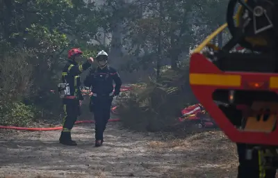Incendie à Fontainebleau : origine volontaire suspectée, 800 hectares brûlés