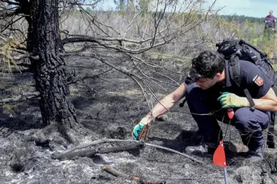 Incendie Gironde : enquête privilégie chantier Enedis, 11 déférés