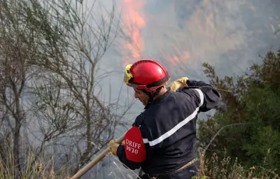 Incendie meurtrier dans un orphelinat près d'Alger : 11 morts
