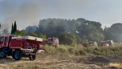 Incendie à Saint-Jean-de-Védas : un important feu près de Montpellier