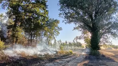 Incendie à Saint-Victor-de-Malcap : 23 hectares brûlés, feu stabilisé