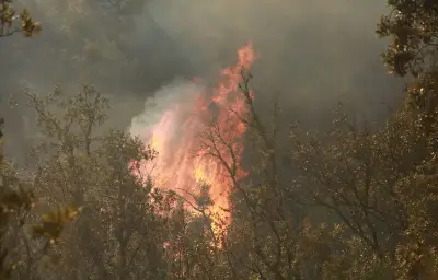 Incendie à Saumos : le feu aurait été déclenché par un débroussaillage