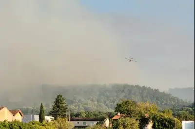 Incendie violent à Brignoles : 60 hectares brûlés, 650 évacués