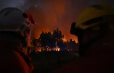 Incendies : 263 interpellations dont 92 mineurs depuis fin juin