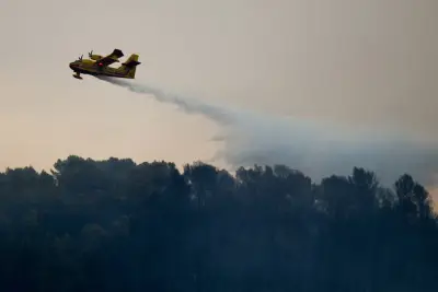 Incendies : 27 départements à risque élevé, 6 en vigilance orange canicule