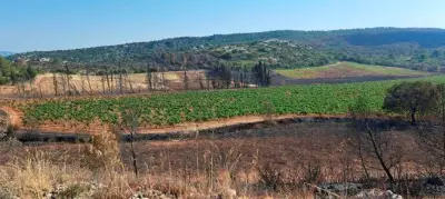 Incendies : agriculteurs ou écologistes, il faudra choisir