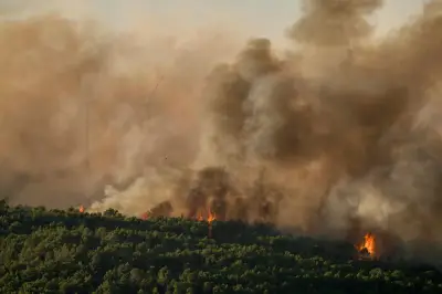 Incendies dans le Sud : 850 hectares brûlés, 3000 évacuations