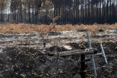 Incendies dans le sud : la France mieux armée quatre ans après 2022 ?