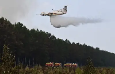 Incendies dans le Sud-Ouest : TGV et TER fortement perturbés, canicule attendue