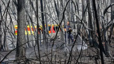 Incendies dans le Var : 2550 hectares brûlés, deux pompiers morts en Gironde