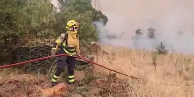 Incendies en Espagne : 29 000 hectares brûlés, un feu historique au nord de Madrid