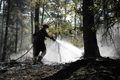 Incendies en France : 11 000 feux, 35 000 hectares brûlés, déjà plus qu'en 2025