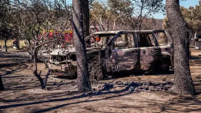 Incendies en France : feux de sols, de cimes et de surface, lequel brûle le plus vite ?