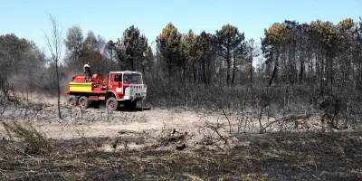 Incendies en France : feux en cours dans le Var, Haute-Corse et Gironde