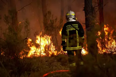Incendies en Gironde : accalmie nocturne avant une course contre la montre
