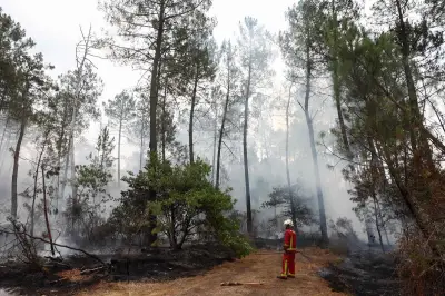 Incendies en Gironde : après une nuit calme, la canicule fait craindre une reprise du mégafeu