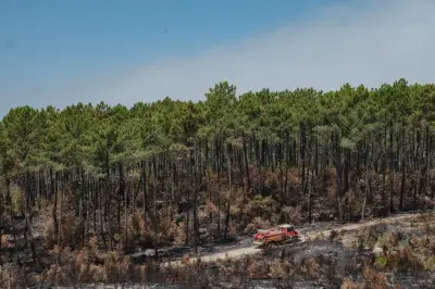 Incendies en Gironde : nuit calme, feu stabilisé avant une journée caniculaire
