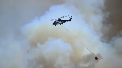Incendies en Île-de-France : feux virulents coupent A6 et ligne TGV