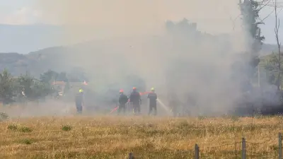 Incendies et canicule : 67 départements en alerte, la France suffoque