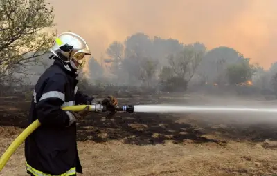 Incendies et canicule : les pompiers français sous pression