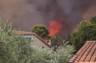 Incendies et réchauffement climatique : un cercle vicieux amplifié par le CO2