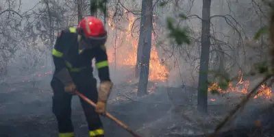 Incendies à Fontainebleau : feux fixés, évacués autorisés à rentrer