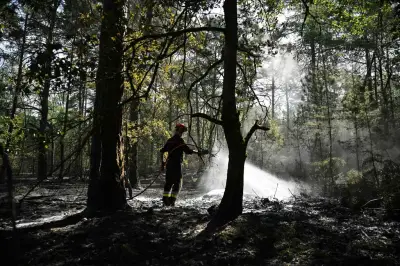 Incendies à Fontainebleau : un feu aux caractéristiques presque méditerranéennes