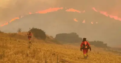 Incendies : la France déploie un A400M pour 20 000 litres de retardant