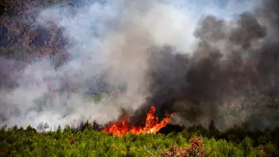 Incendies : le feu toujours stabilisé en Gironde, maîtrisé dans le Var