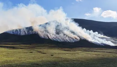Incendies ravageurs : Écosse, Algérie, Italie parmi les pays les plus touchés