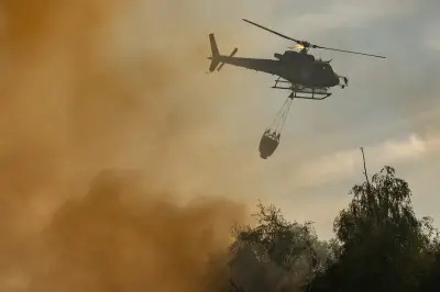 Incendies : un enjeu collectif du Nord au Sud