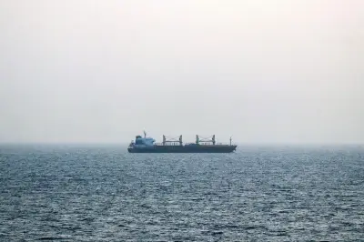 Iran : la stratégie d'escalade via les Houthis menace le commerce mondial