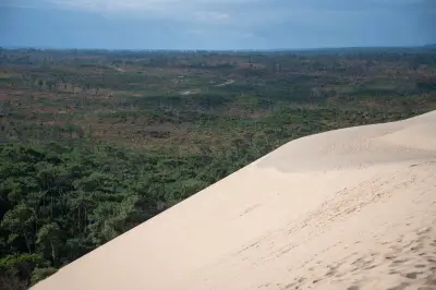 La forêt française : un construit politique depuis les Gaulois