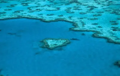 La Grande Barrière de corail échappe à la liste du patrimoine en péril de l'Unesco