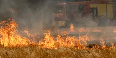 Lanton en Gironde : évacuation immédiate pour éviter le pire face aux sautes de feu