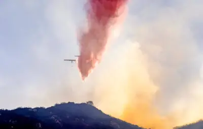 Le FireTrol 931 : composition et impacts du retardant chimique