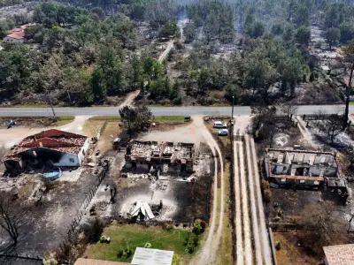 Le maire du Porge : 'Le paysage est détruit, notre village est à terre'