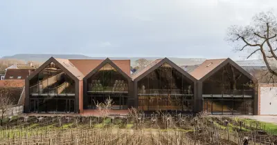 Le marché du vin se réinvente face à la crise et à la déconsommation