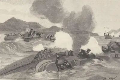 Le requin qui a livré le secret d'un naufrage de 1889