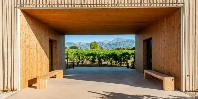 Le vignoble de Majorque prend son envol
