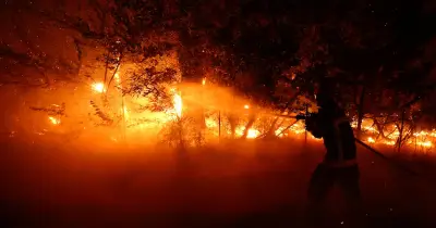 Macron active le mécanisme européen face aux incendies en Gironde et dans les Landes