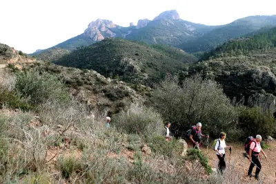 Massif Esterel-Tanneron fermé ce lundi pour risque incendie très sévère