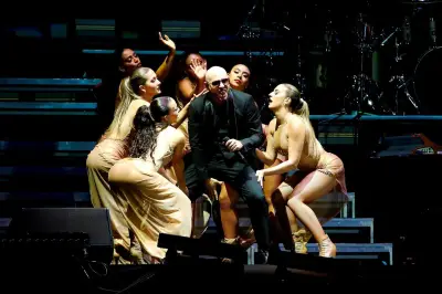 Méga concert de Pitbull à Nice : 35 000 spectateurs en folie à l'Allianz Riviera