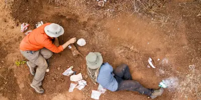 Musango matusadonaensis : un nouveau dinosaure découvert au Zimbabwe