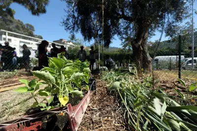 À Nice, un squat transformé en jardin partagé de 20 parcelles