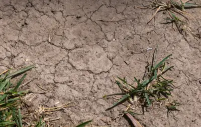 Nouvelle vague de chaleur extrême en France : 41,4°C à Cahors